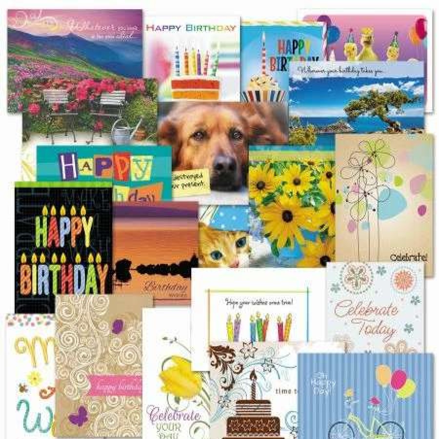 Holidays & Events * | Mega Birthday Greeting Cards Value Pack